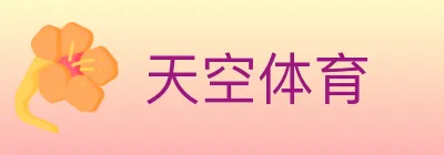 天空体育 logo
